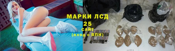 мдпв Верея