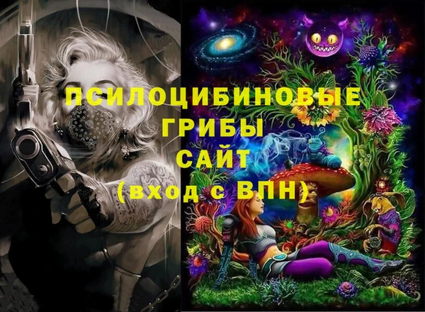мдпв Верея