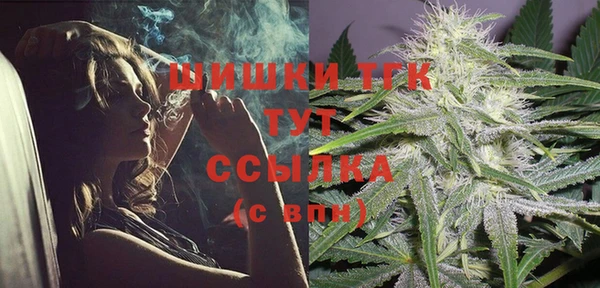 мдпв Верея