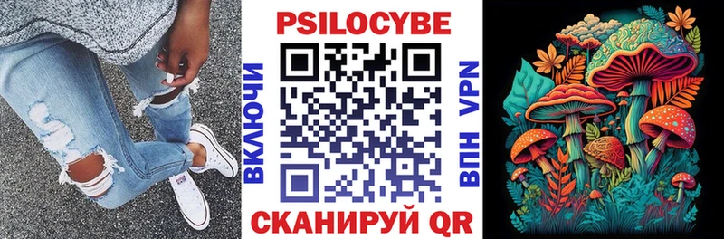 нарко площадка клад  Выборг  Псилоцибиновые грибы Psilocybe 