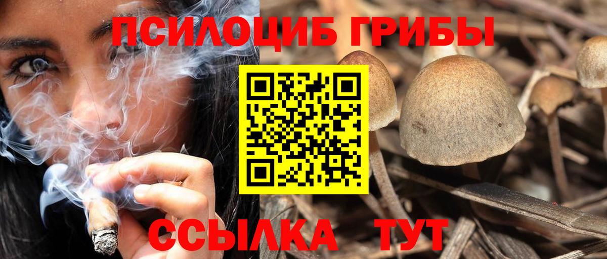 Галлюциногенные грибы ЛСД  Вход с VPN  Выборг  дарнет шоп  Псилоцибиновые грибы Cubensis 